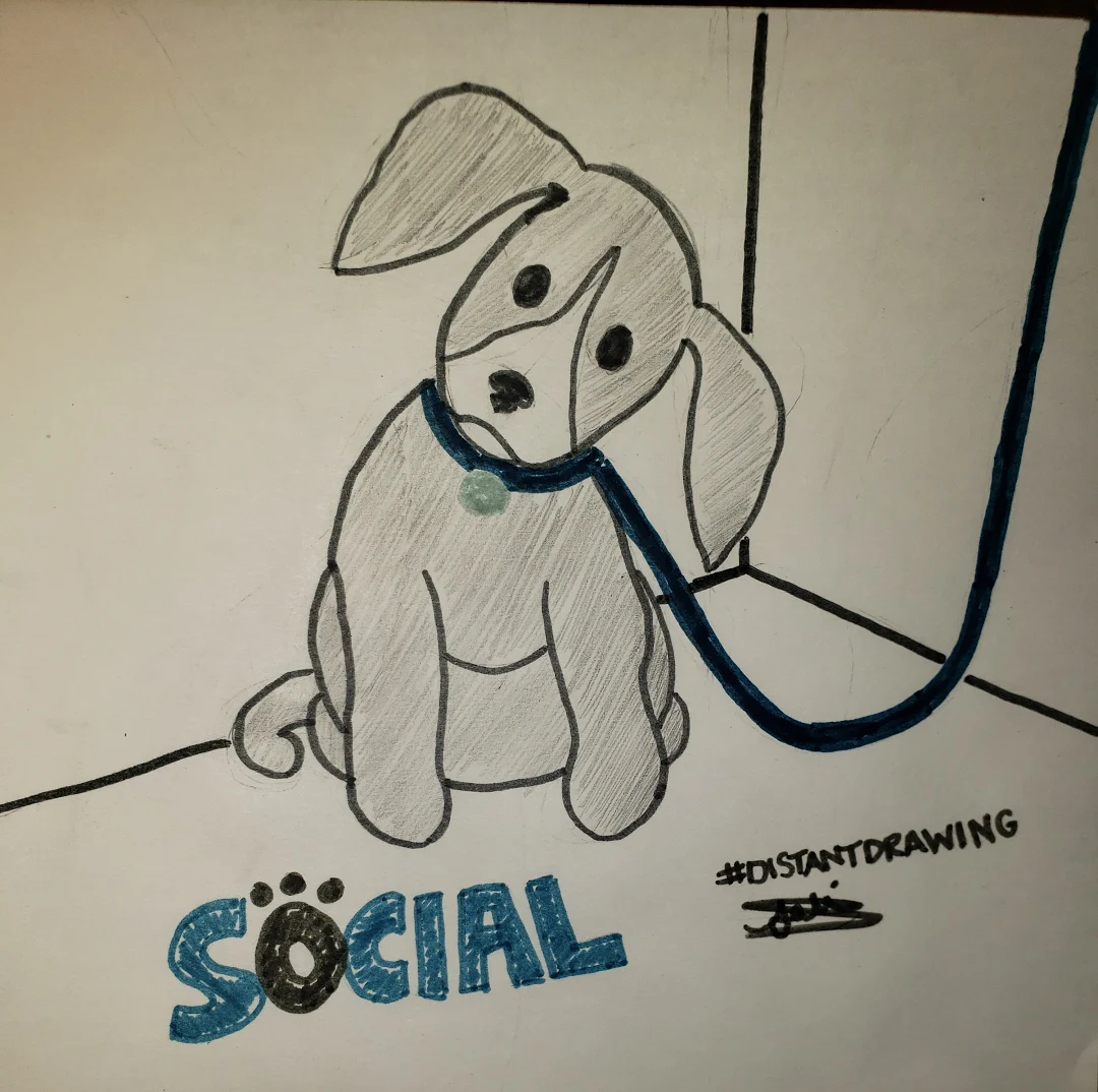 drawing of dog on leash